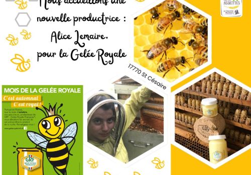 Nouveau producteur : Alice Lemaire