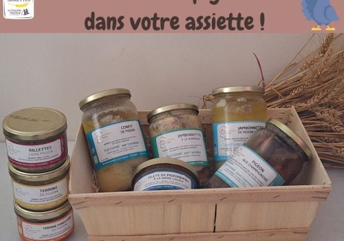 Le pigeon dans votre assiette