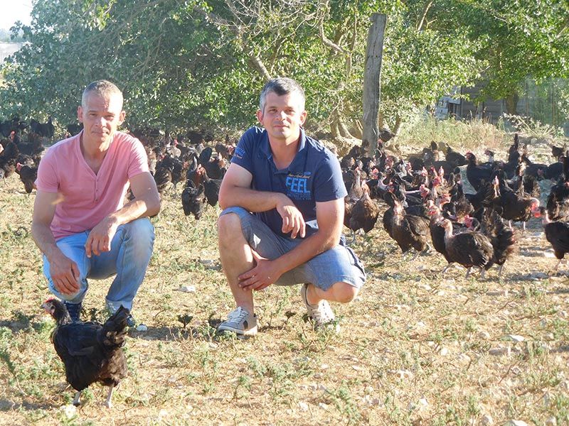 EARL L'OEUF DE MARANS