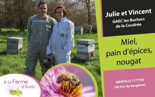 A la Ferme d'Aunis les ruchers de la coudree