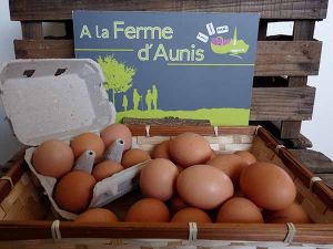 EARL L'OEUF DE MARANS