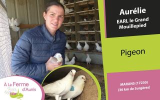 A la Ferme d'Aunis le grand mouillepied