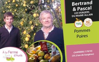 Les vergers du Maine Allain