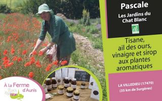 A la Ferme d'Aunis jardins du chat blanc