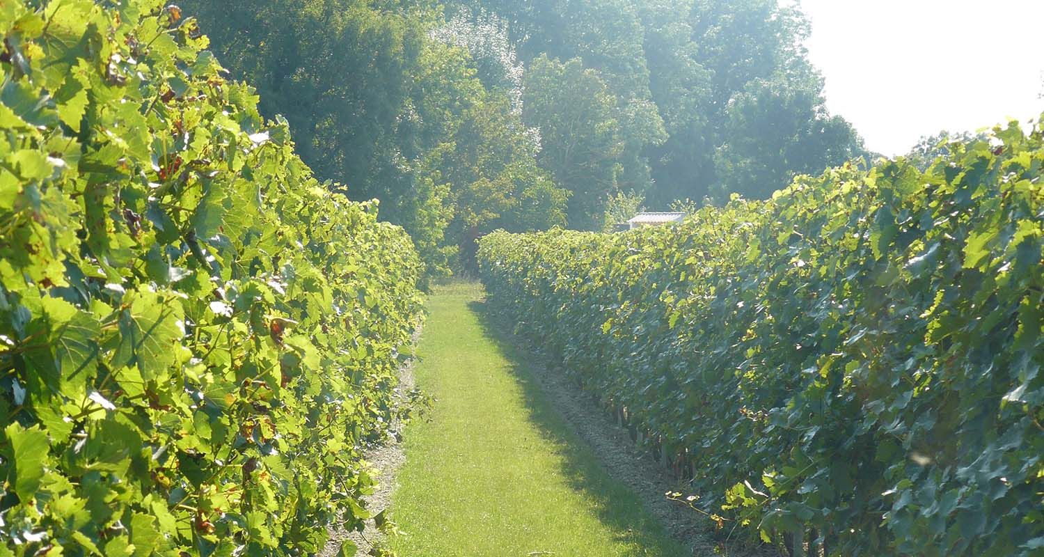 A La Ferme D Aunis Surgeres