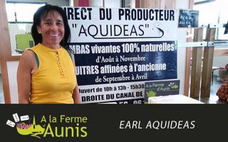 A la Ferme d'Aunis aquideas