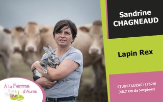 A la Ferme d'Aunis chagneaud