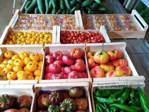 EARL LES SERRES DE LA SAUZAIE (LSDLS)