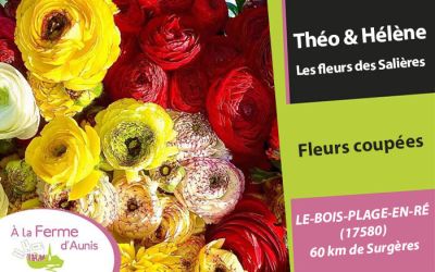 Fleurs des salières