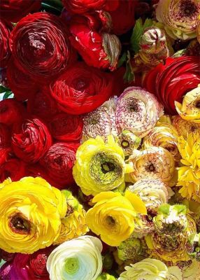 LES FLEURS DES SALIÈRES