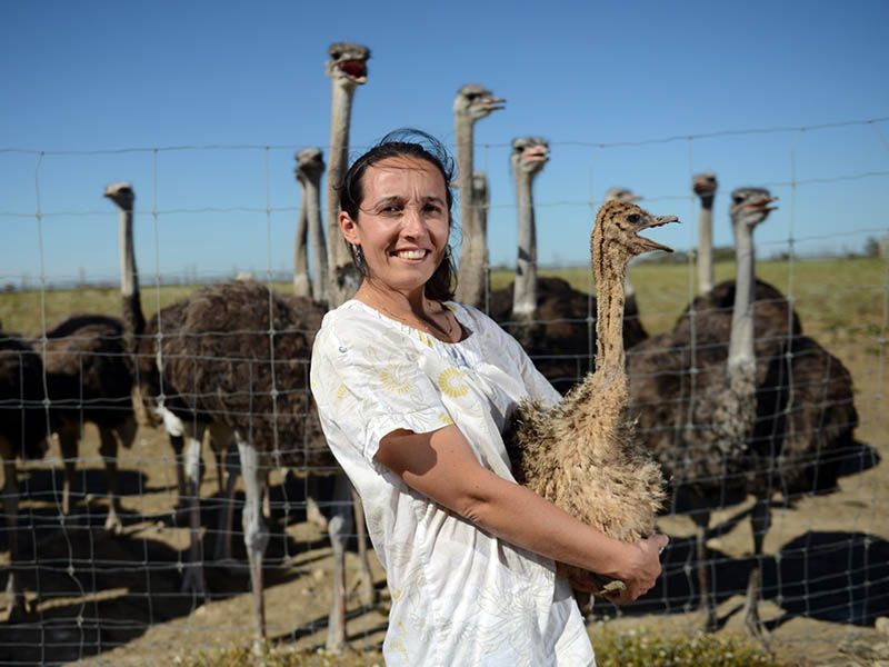 L'AUTRUCHE DE LAURETTE