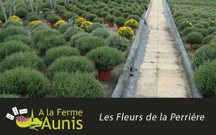 SARL Les fleurs de la Perrière