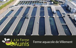 Ferme aquacole de Villement
