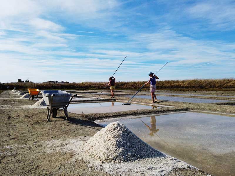 FERME DE L'ÎLE MADAME