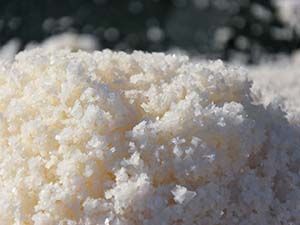 FERME DE L'ÎLE MADAME